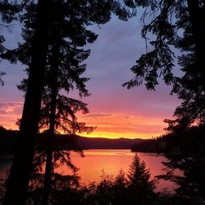 Meet your Posher, Teri